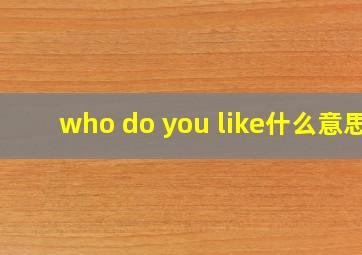 who do you like什么意思